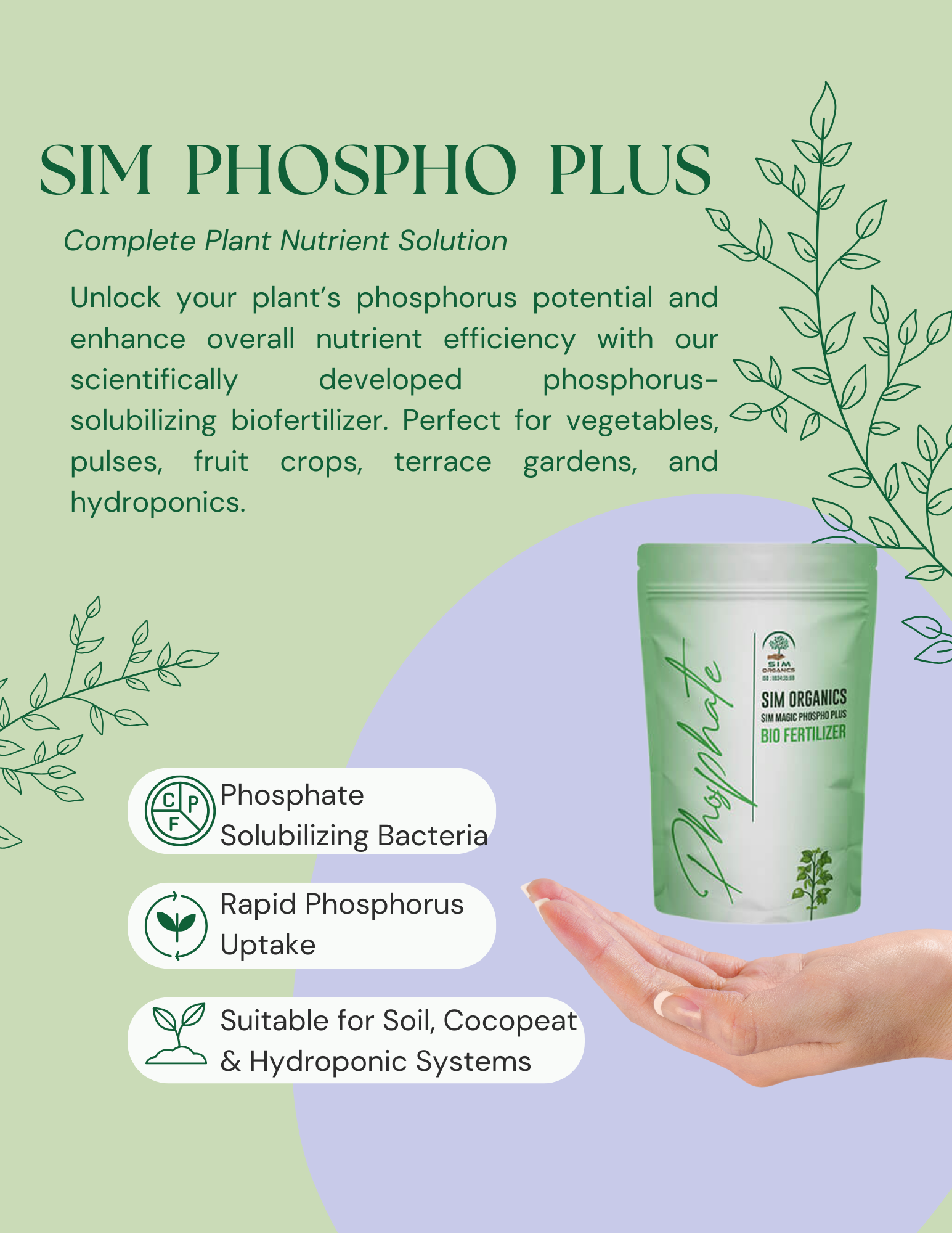 SIM Phospho Plus – PSB Biofertilizer for Phosphorus Uptake (Powder)