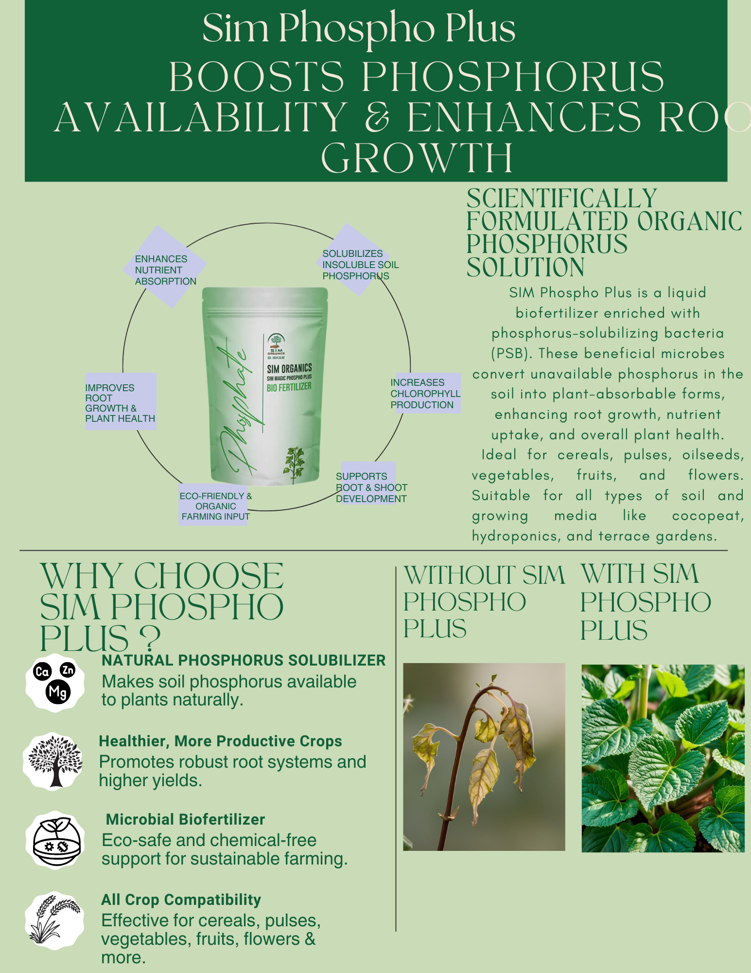 SIM Phospho Plus – PSB Biofertilizer for Phosphorus Uptake (Powder)