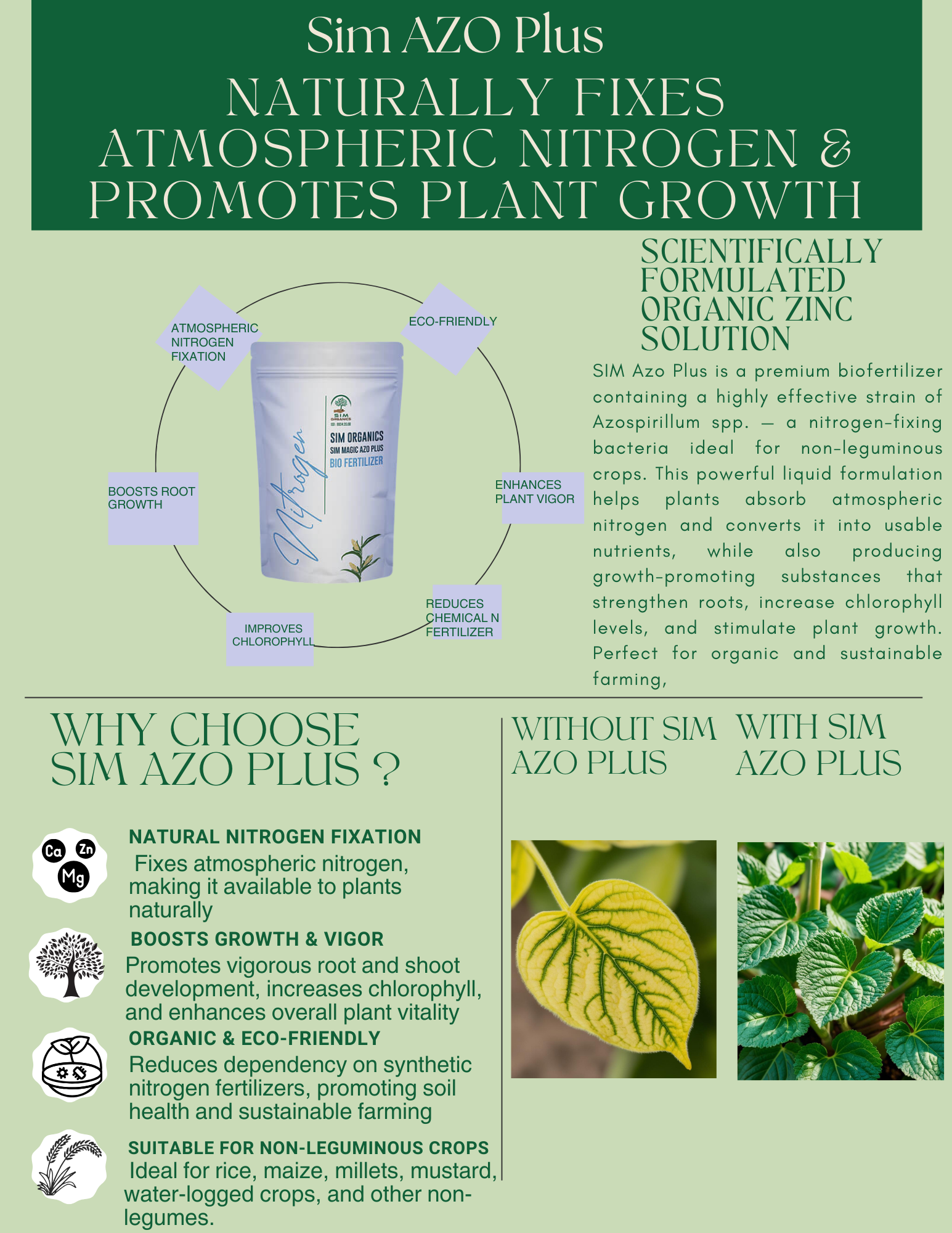 SIM Azo Plus – Azospirillum Biofertilizer for Nitrogen Fixation(Powder)