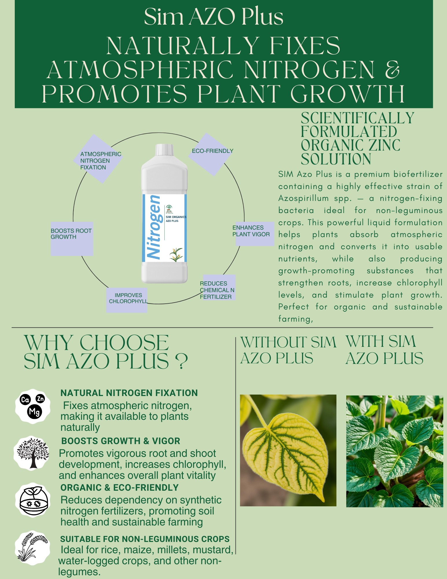 SIM Azo Plus – Azospirillum Biofertilizer for Nitrogen Fixation(Liquid )