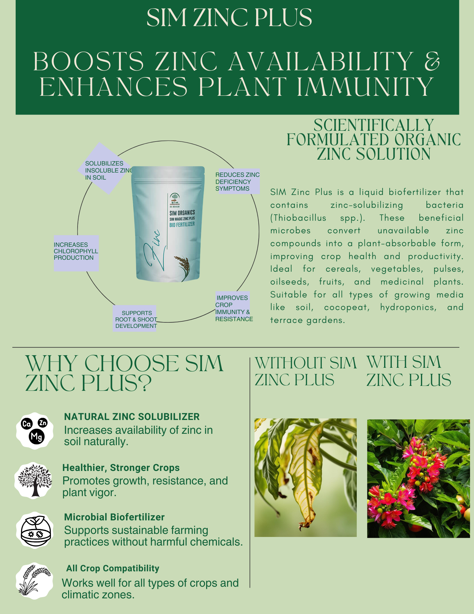 SIM Zinc Plus – Zinc Solubilising Bacteria Biofertilizer(powder)