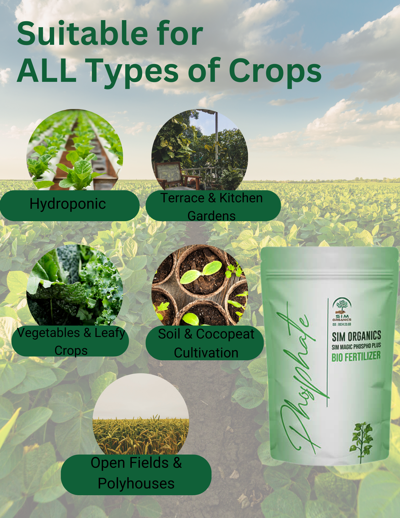 SIM Phospho Plus – PSB Biofertilizer for Phosphorus Uptake (Powder)