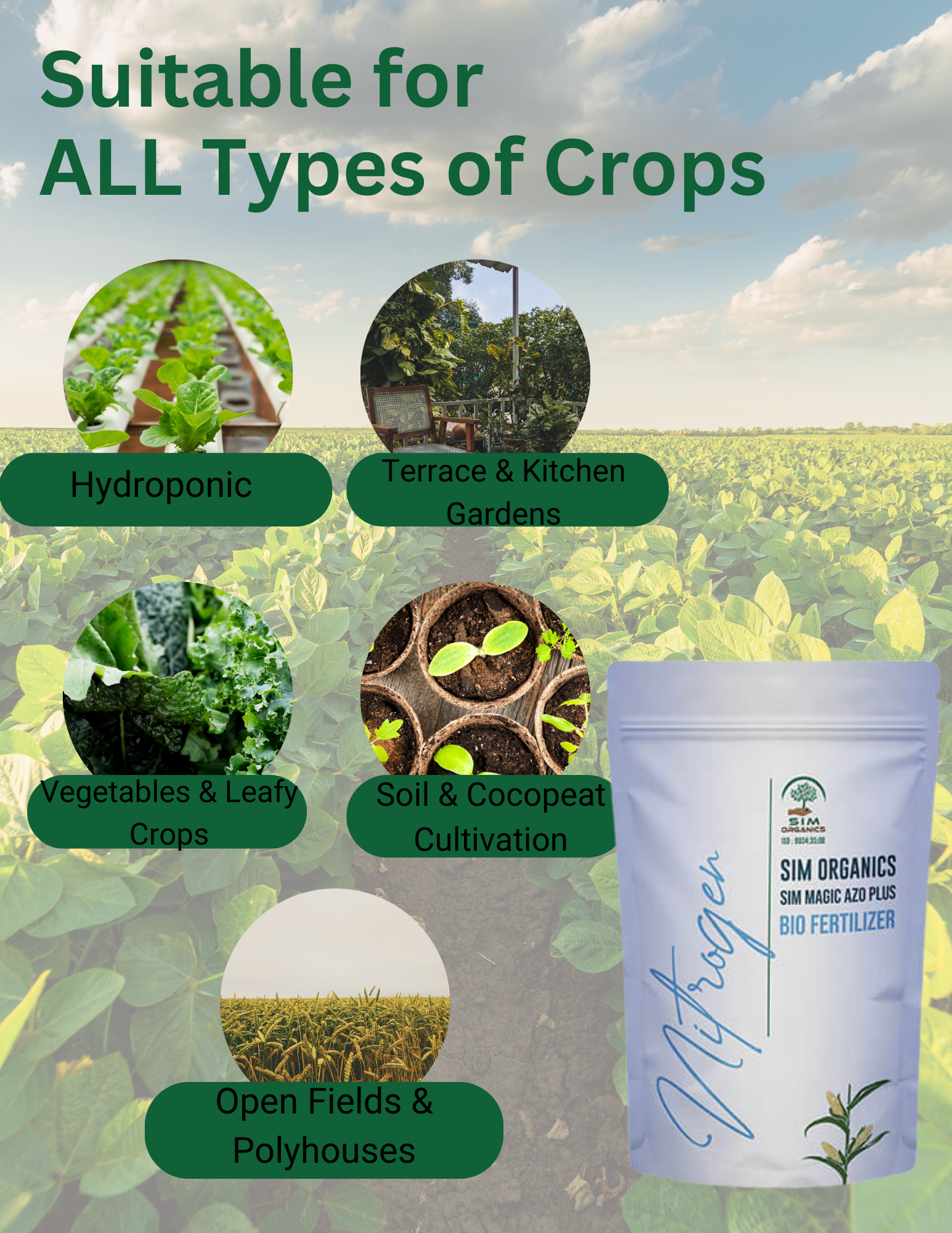 SIM Azo Plus – Azospirillum Biofertilizer for Nitrogen Fixation(Powder)