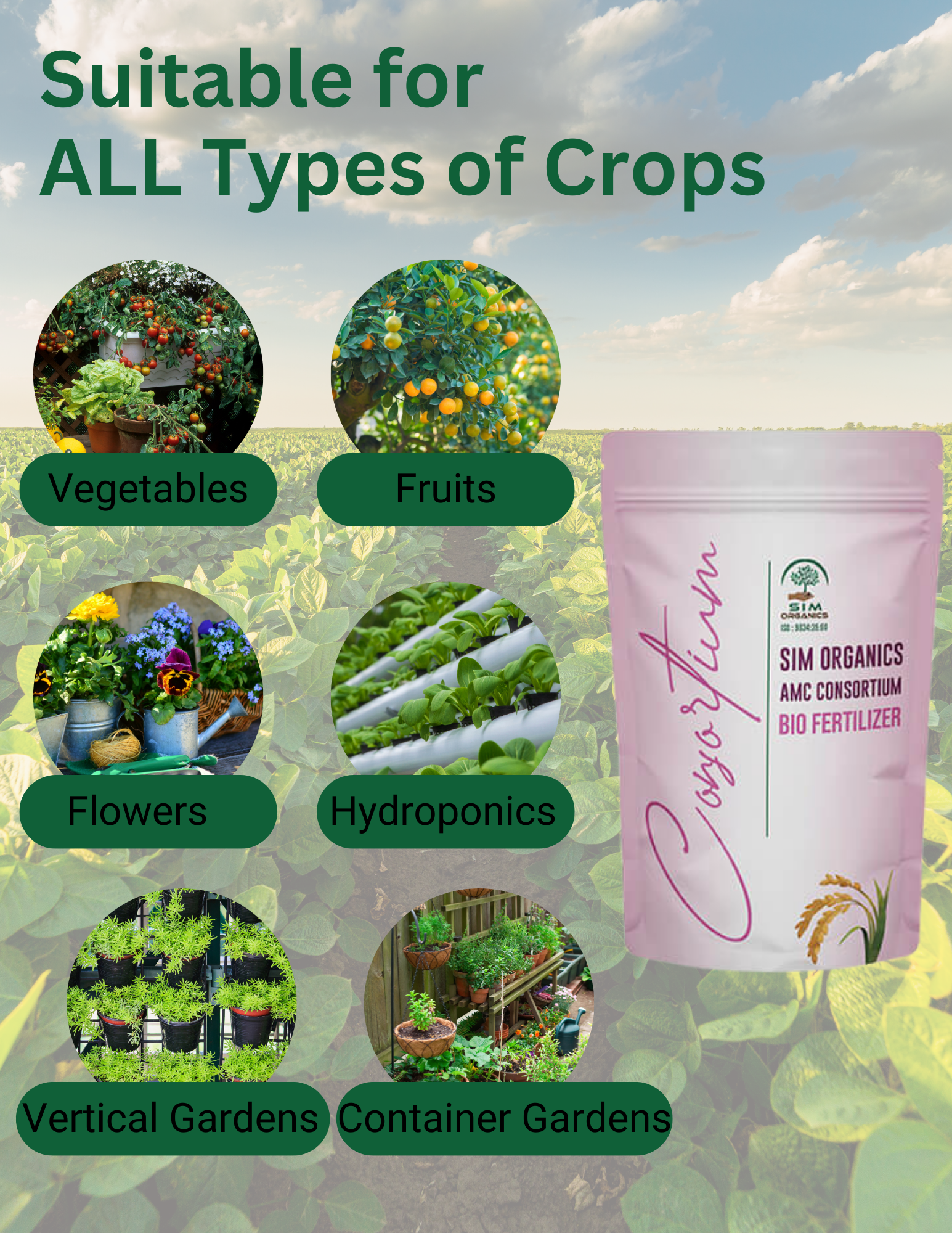 SIM Magic – All-in-One Liquid Biofertilizer for Plants (Powder)