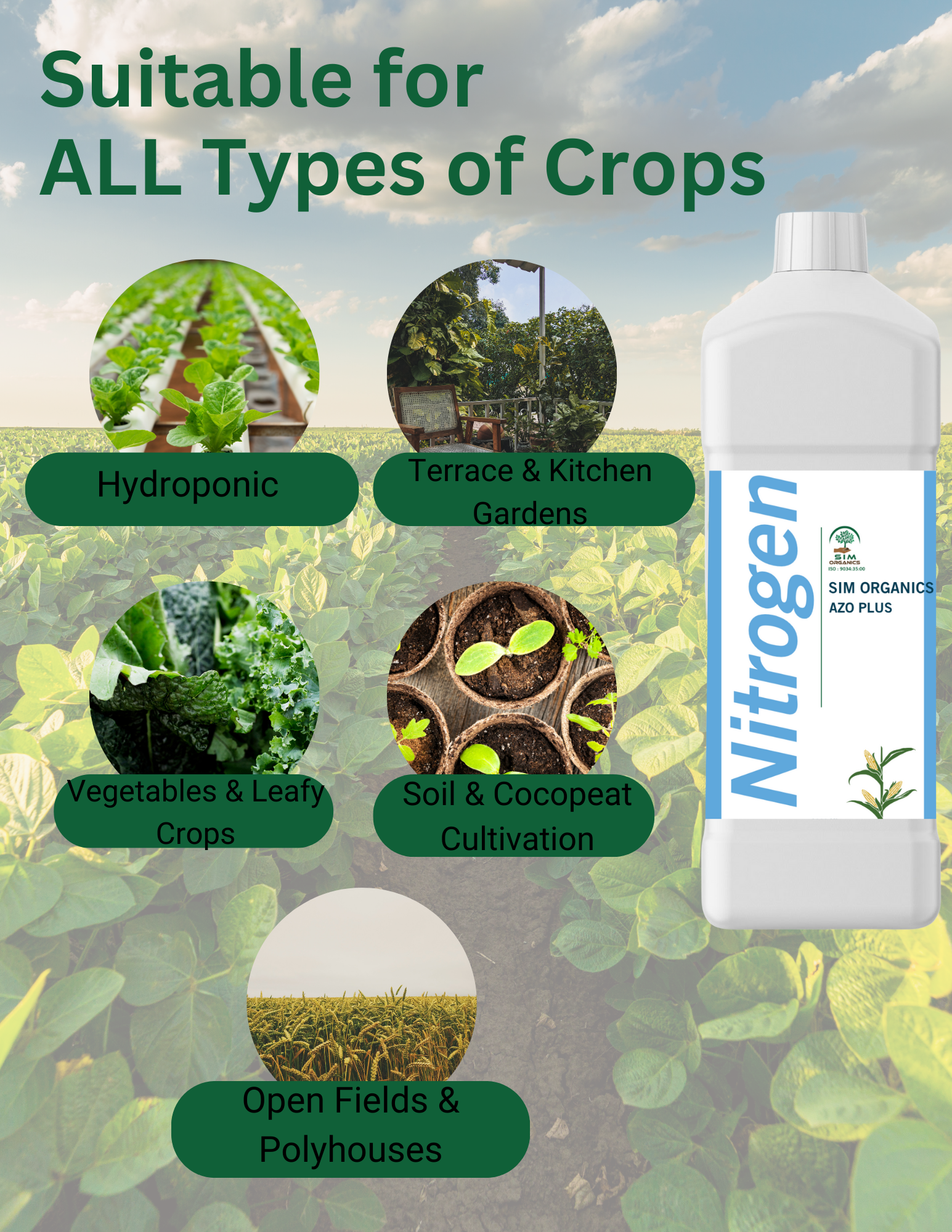 SIM Azo Plus – Azospirillum Biofertilizer for Nitrogen Fixation(Liquid )