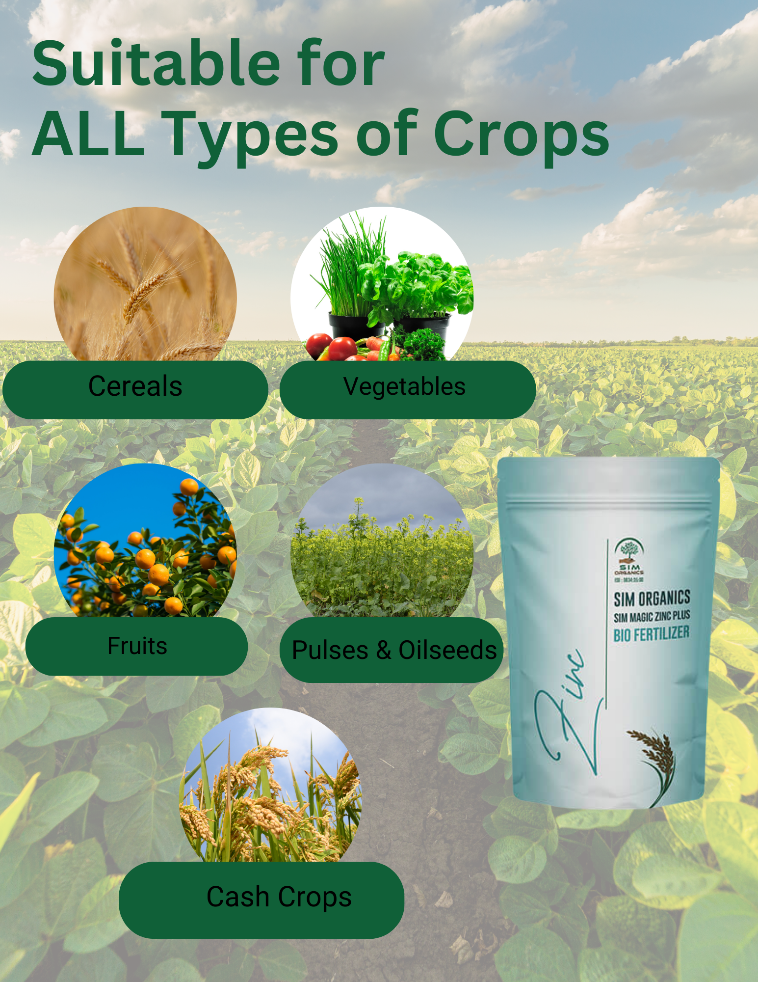 SIM Zinc Plus – Zinc Solubilising Bacteria Biofertilizer(powder)