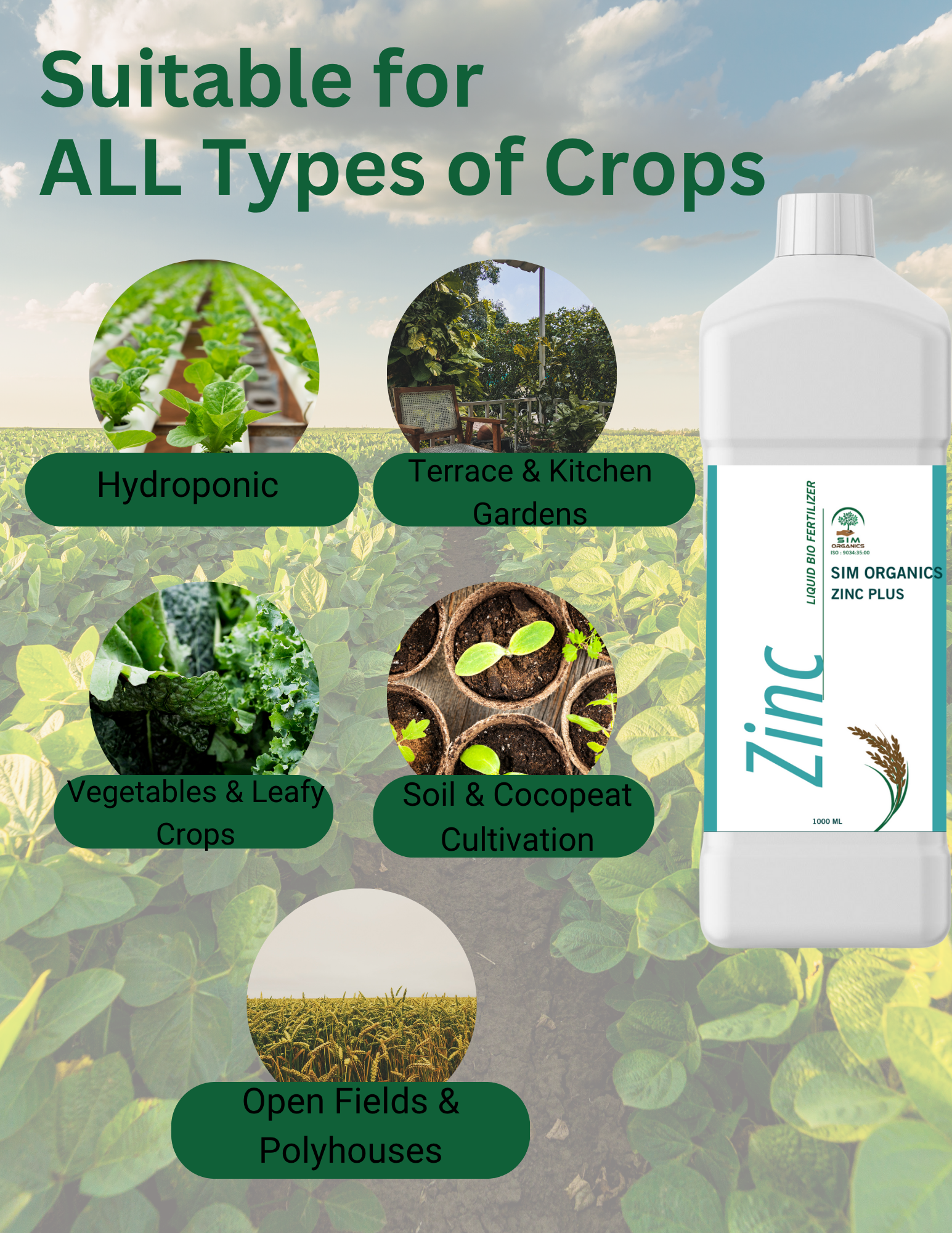 SIM Zinc Plus – ZSB Biofertilizer for Healthy Leaf Growth (liquid)