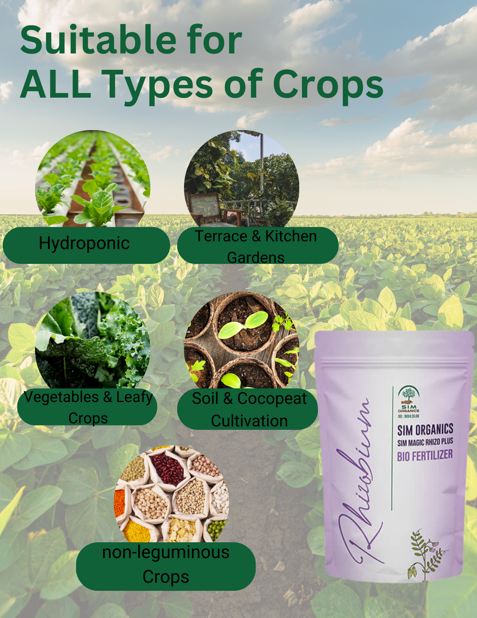 SIM Rhizo Plus – Rhizobium Biofertilizer for Pulses and Leguminous Crops(Powder)