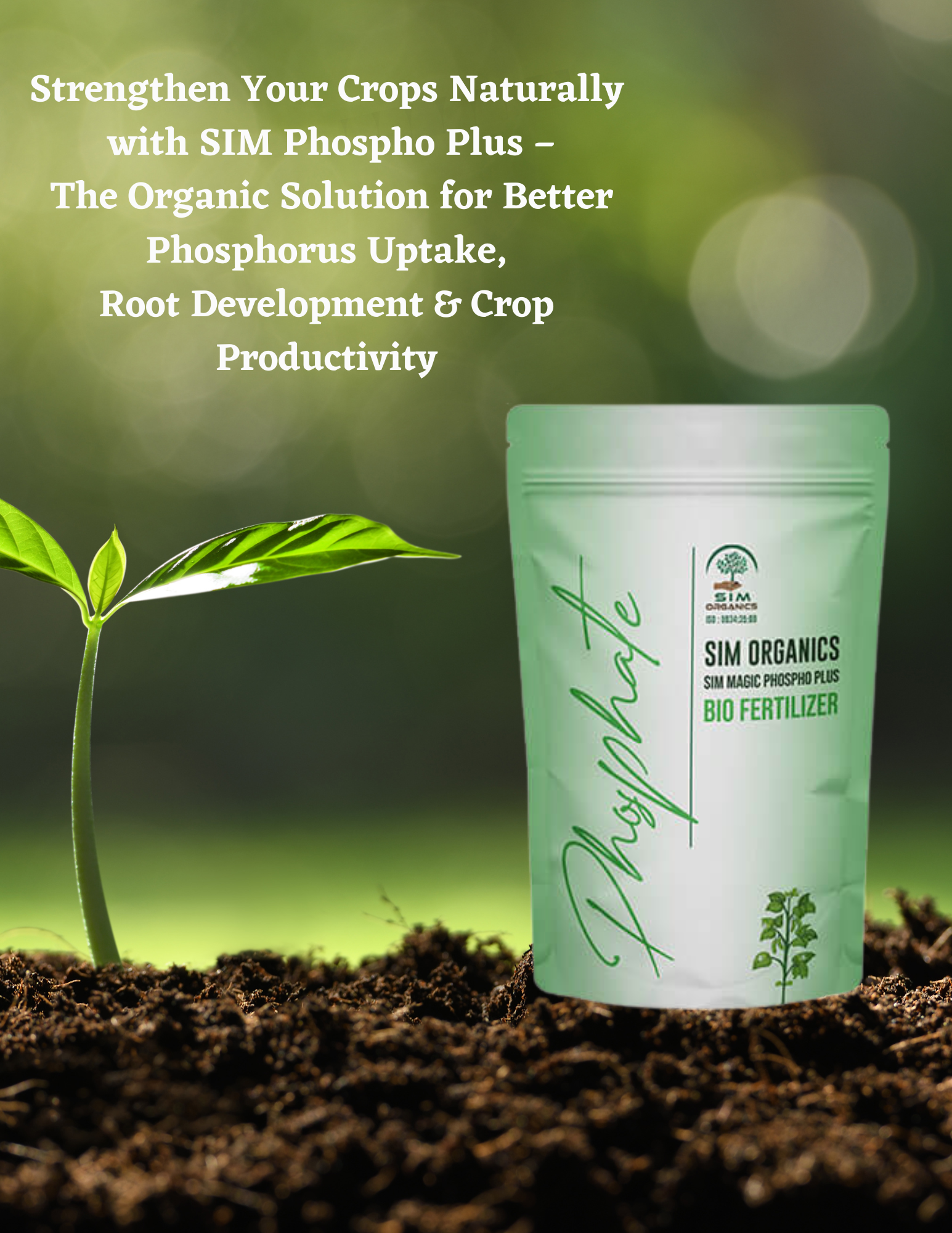 SIM Phospho Plus – PSB Biofertilizer for Phosphorus Uptake (Powder)