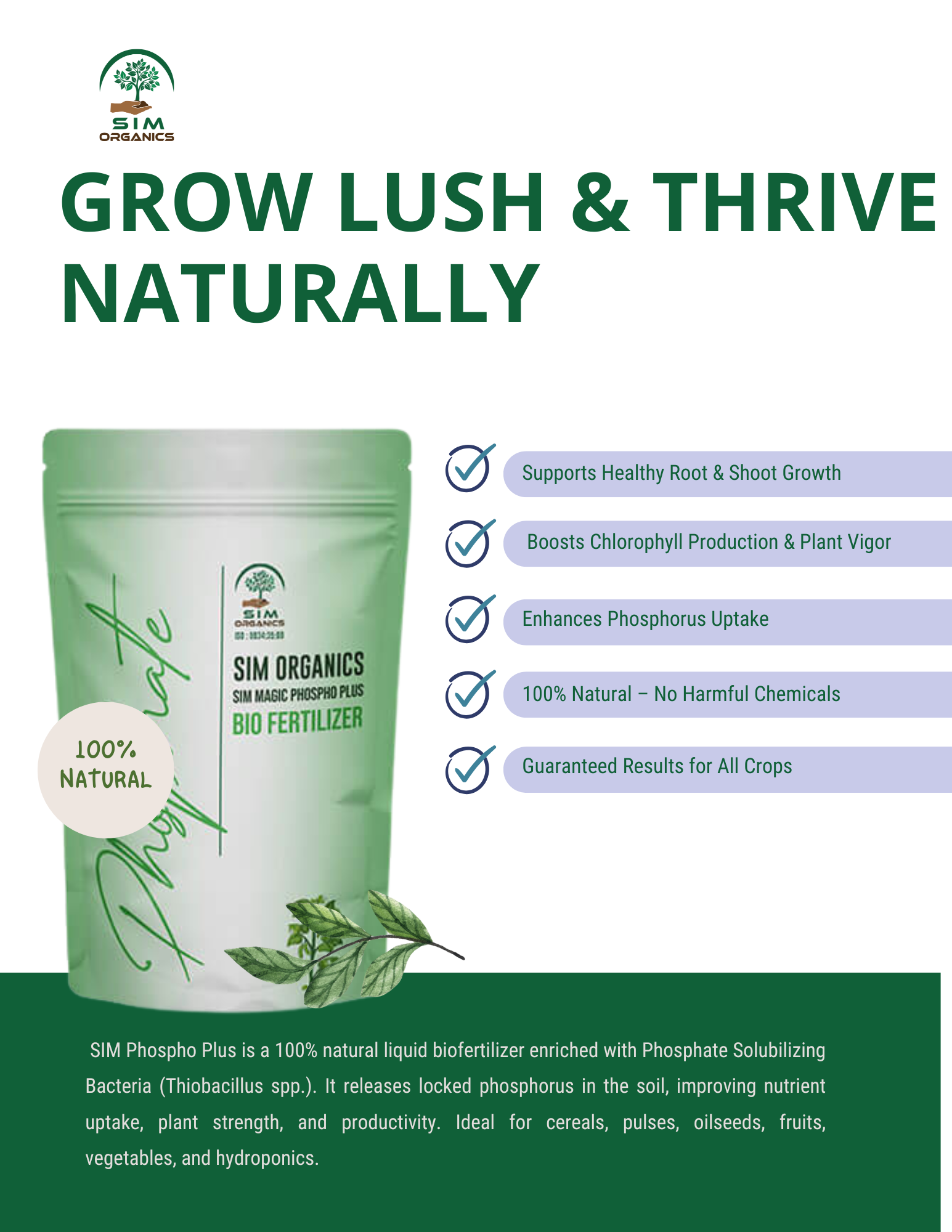 SIM Phospho Plus – PSB Biofertilizer for Phosphorus Uptake (Powder)