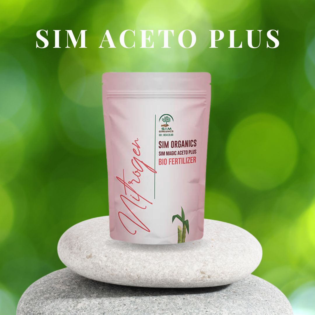 SIM Aceto Plus – Acetobacter Biofertilizer for Nitrogen Fixation(Powder)