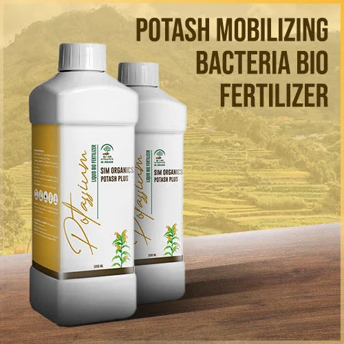The Power of Soil Health: Potash Mobilizing Bacteria Biofertilizer