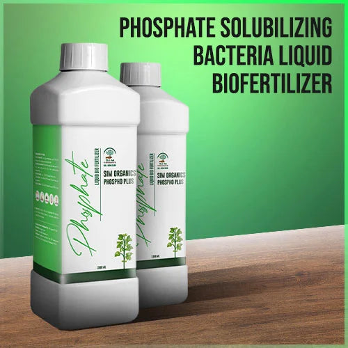 Phosphate Solubilizing Bacteria: The Ultimate Guide to Liquid Biofertilizers