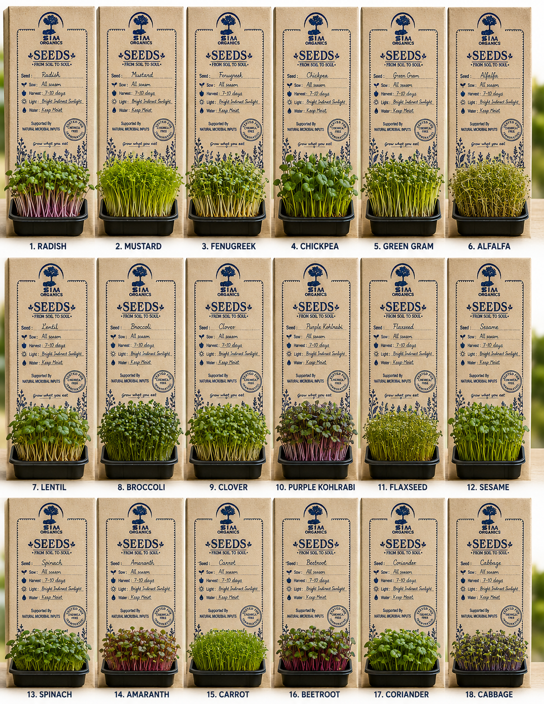 STAA Organics Microgreen Seeds Collection Pack – Radish, Mustard, Fenugreek, Chickpea, Green Gram, Alfalfa, Lentil, Broccoli, Clover, Purple Kohlrabi, Flaxseed, Sesame, Spinach, Amaranth, Carrot, Beetroot, Coriander and Cabbage