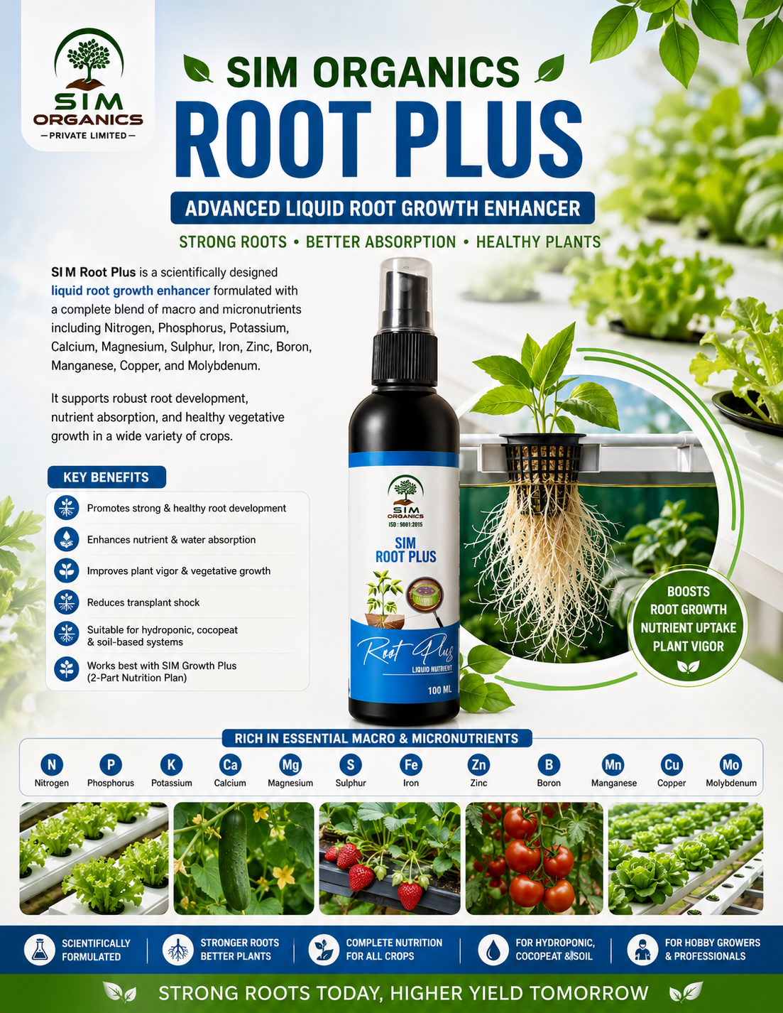 Hydroponic Solutions