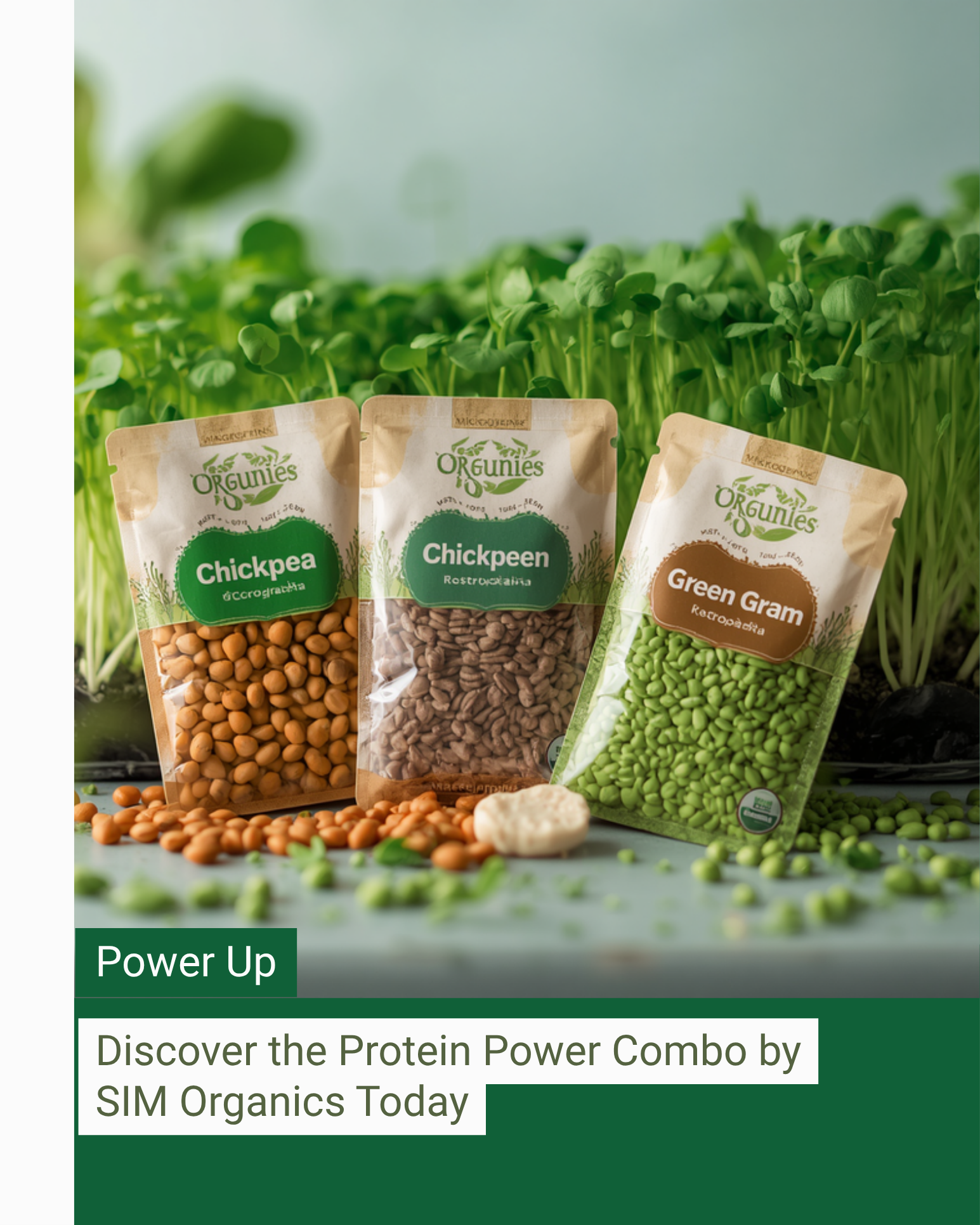 Protein Power Combo by SIM Organics