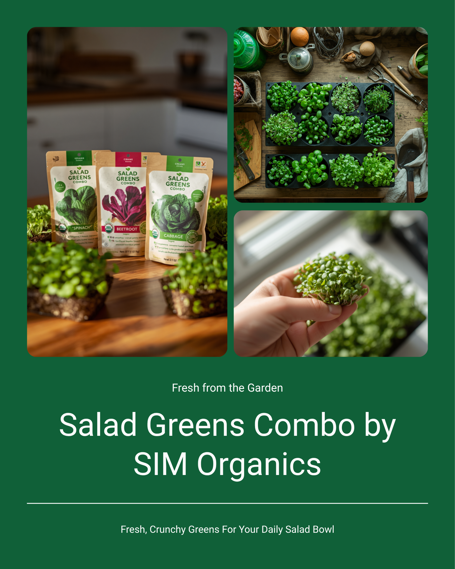 Salad Greens Combo by SIM Organics