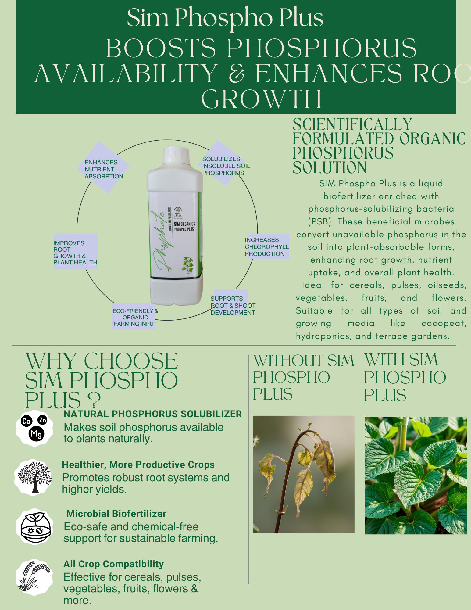 SIM Phospho Plus (Liquid Biofertilizer)