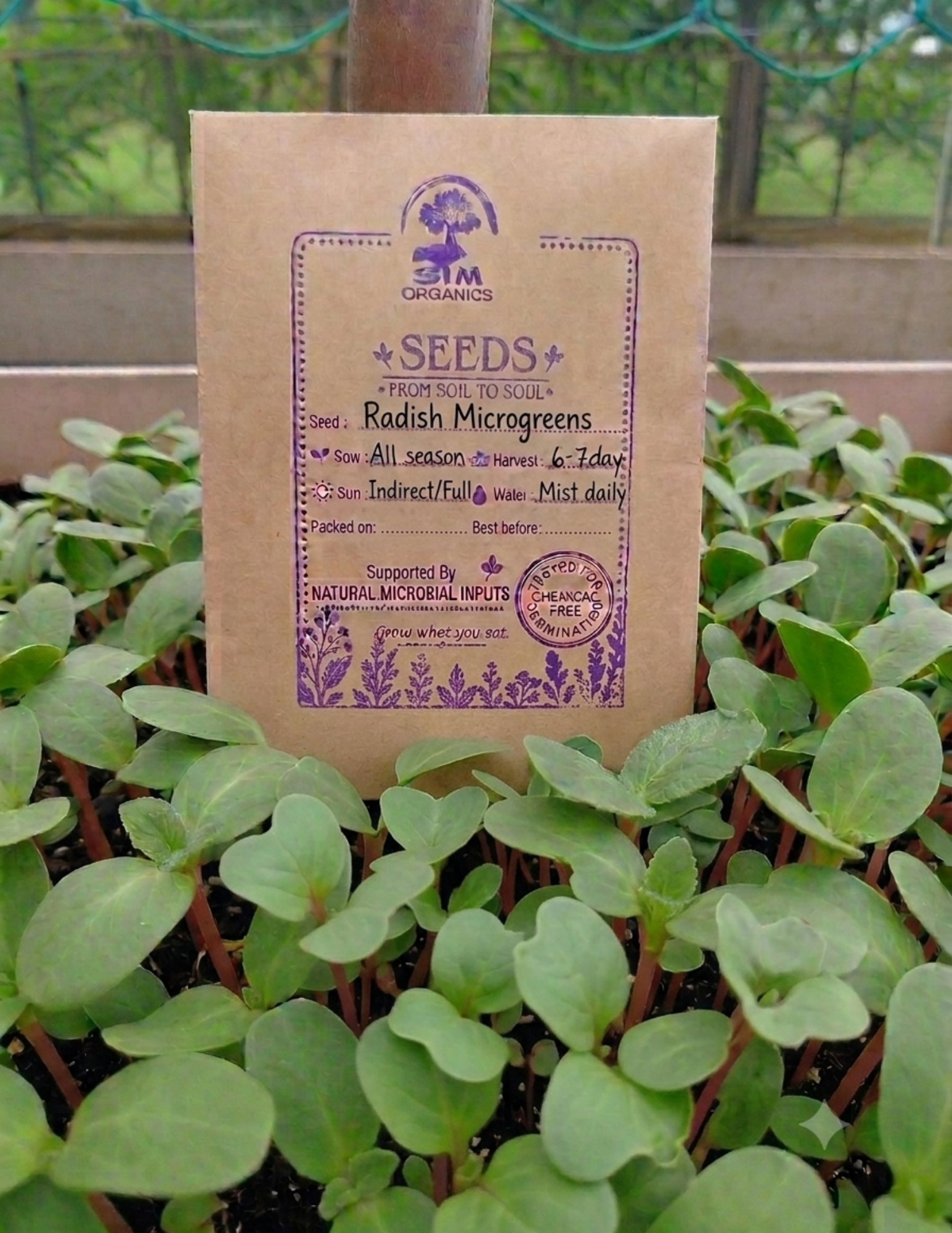 Radish Microgreen Seeds – SIM Organics