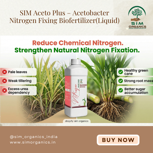 SIM Aceto Plus – Acetobacter Nitrogen Fixing Biofertilizer(Liquid)