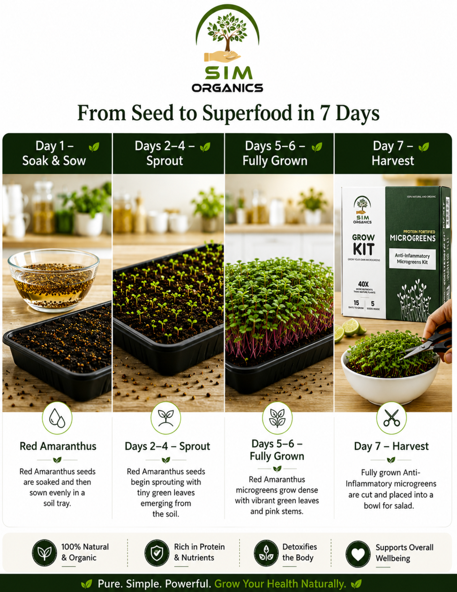 SIM Anti-Inflammatory Microgreens Kit