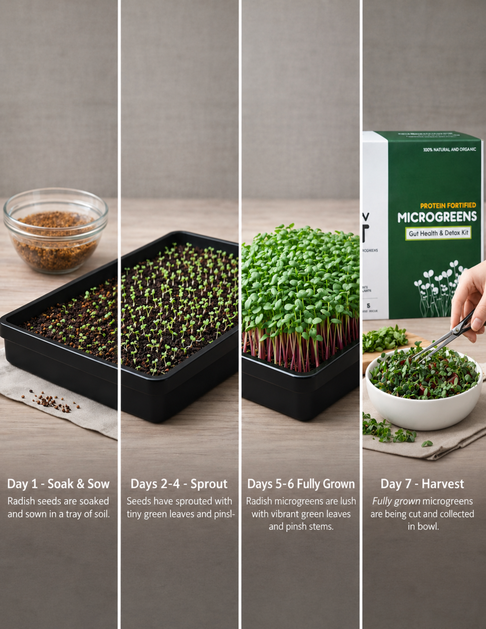 SIM Gut Health & Detox Microgreens Kit