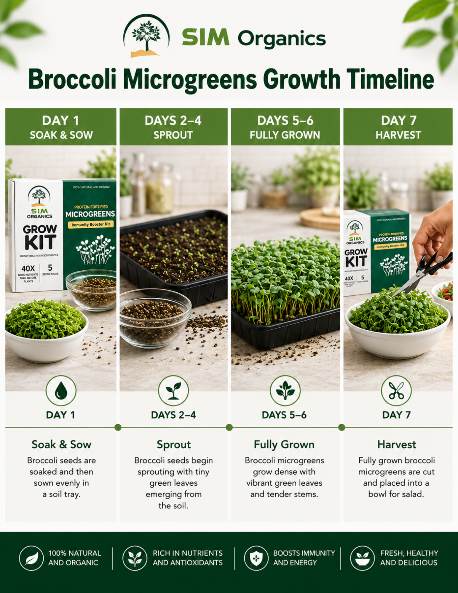SIM – Immunity Booster Microgreens Kit