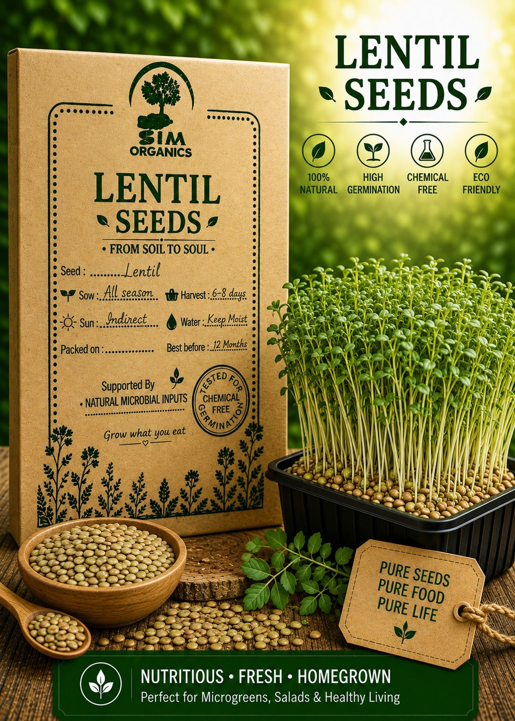 Lentil Microgreen Seeds – SIM Organics