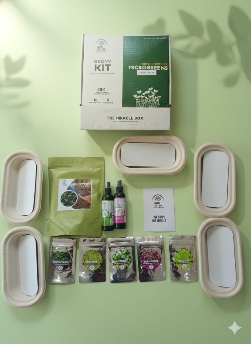 SIM Organics – Kids Growth Microgreens Kit