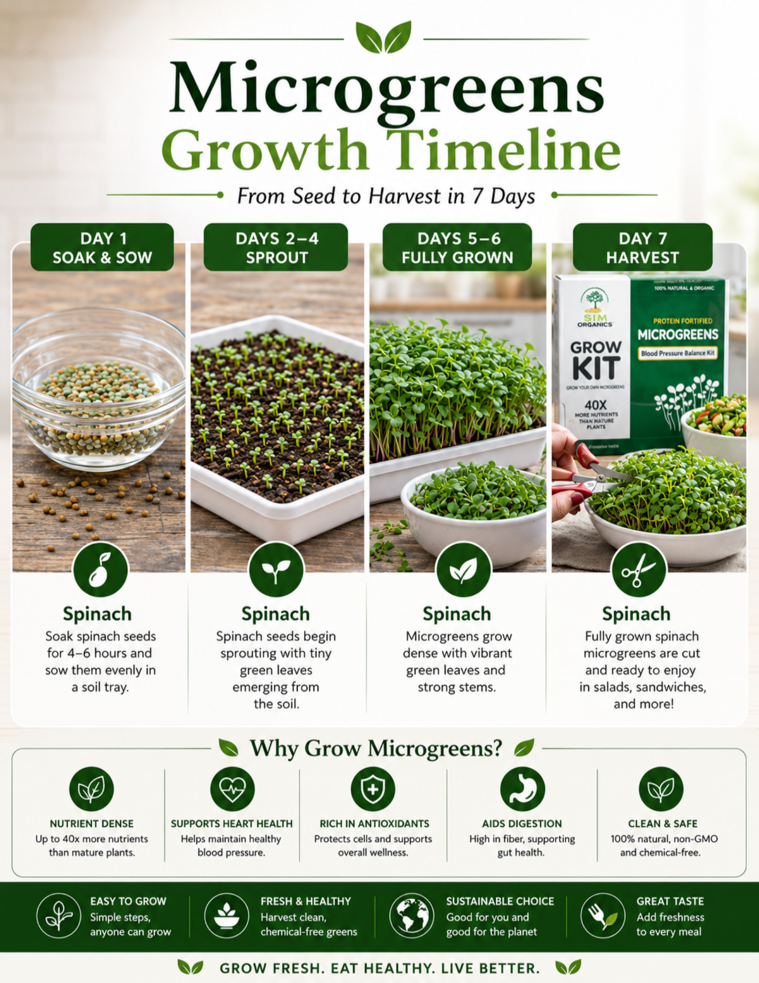 SIM – Blood Pressure Balance Microgreens Kit