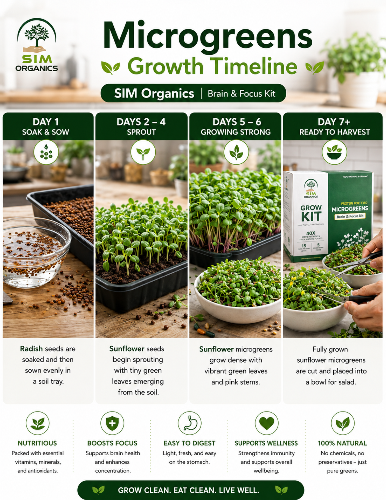 SIM – Brain Health & Focus Microgreens Kit