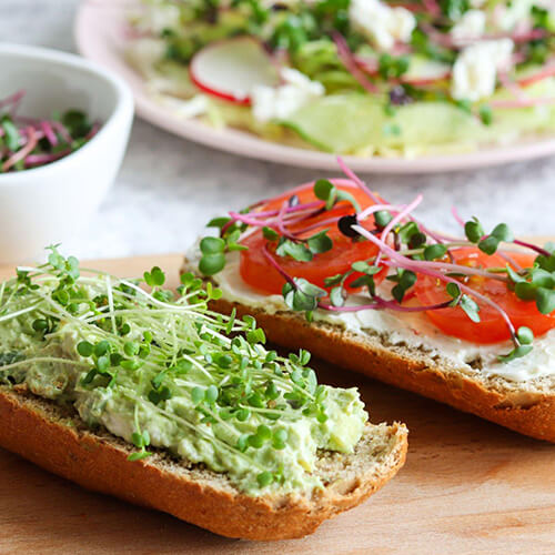 Nutritious Microgreen Recipes