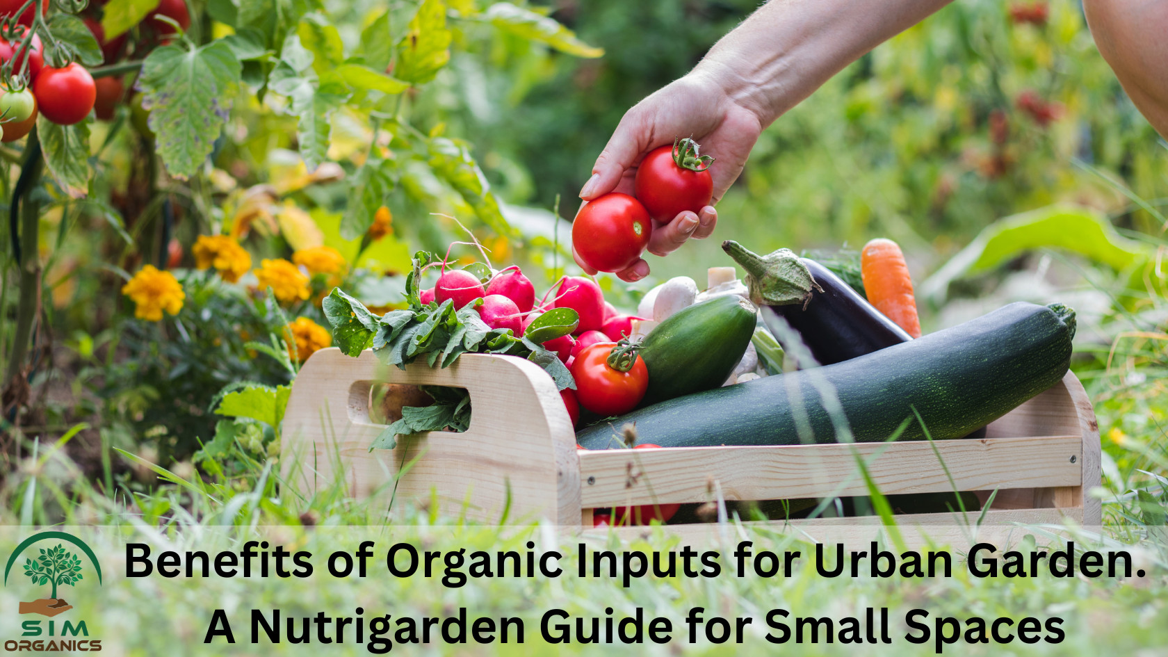 The Benefits Of Organic Inputs For Urban Garden. A Nutrigarden Guide For Small Spaces